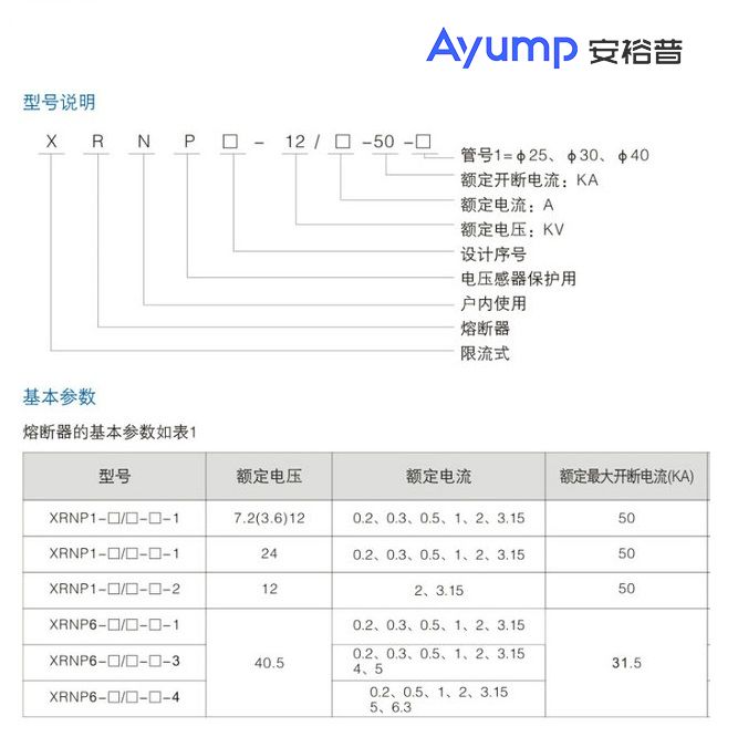 XRNP口-12口-50口高壓熔斷器 (2)